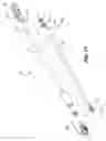 Fig. 08 - Collet locks and extension pole assemblies comprising same