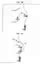 Fig. 07 - Fly fishing method and apparatus