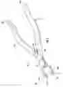 Fig. 02 - Tool for adjusting rimless eyewear