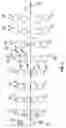 Fig. 02 - Web offset printing press with articulated tucker