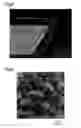 Fig. 06 - Body having a smooth diamond layer, device and method therefor