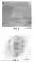 Fig. 02 - Templated semiconductor particles and methods of making