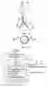 Fig. 09 - Spark ignition engine and method of controlling combustion of the engine