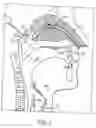 Fig. 02 - Nasal delivery device
