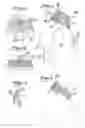 Fig. 02 - RESPIRATORY MASK
