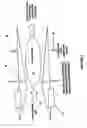 Fig. 04 - Ammonium nitrate crystals, ammonium nitrate blasting agent and method of production