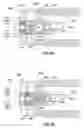 Fig. 04 - Apparatus and method for sensing downhole parameters