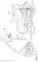 Fig. 02 - Drive controller for hybrid vehicle
