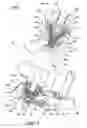 Fig. 10 - Saddle riding vehicle