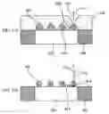Fig. 06 - Capillary array and capillary electrophoresis apparatus