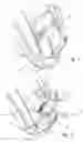 Fig. 02 - Pocket closure device