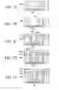 Fig. 08 - Substrate for electronic device and method of manufacturing the same