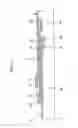 Fig. 08 - Telescopic boom device