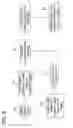 Fig. 04 - Personalized appliance and method of making the same