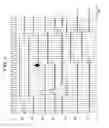 Fig. 04 - Photo detecting circuit and noise elimination method utilized to produce a photo reception signal