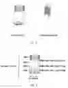Fig. 02 - Mixed conductive carbon and electrode