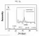 Fig. 04 - Zeolites with incorporated dipolar nonlinear optical molecules in uniform orientation and preparation thereof