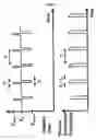 Fig. 06 - Photon source
