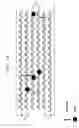 Fig. 06 - Techniques for facilitating identification updates in an integrated circuit