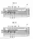 Fig. 10 - Light emitting display and method of manufacturing the same