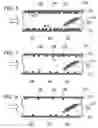 Fig. 07 - Gallium nitride based semiconductor device and method of manufacturing same