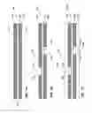Fig. 02 - Organic substrates with embedded thin-film capacitors, methods of making same, and systems containing same
