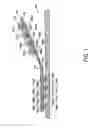 Fig. 02 - Methods and apparatus for a flexible circuit interposer