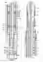 Fig. 01 - Hidden brake line suspension