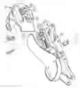 Fig. 02 - Skate having a hidden type size adjusting function