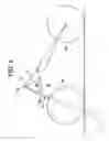 Fig. 07 - Front wheel suspension system for vehicles having a single front wheel