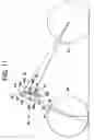 Fig. 23 - Front wheel suspension system for vehicles having a single front wheel