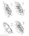 Fig. 02 - Device for adjusting the position of a ski binding