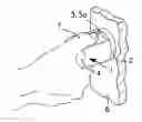 Fig. 01 - Ergonomic manual actuator for door locks