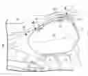 Fig. 01 - Lock device for motorcycle side trunk