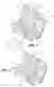Fig. 02 - Vision improving system for a head restraint