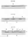Fig. 06 - Electron emission device, electron emission display device using the same and method of manufacturing the same