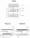 Fig. 04 - Self-light emitting panel and method for fabricating the same