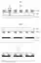 Fig. 07 - GREEN SHEET, PLASMA DISPLAY PANEL AND METHOD OF MANUFACTURING PLASMA DISPLAY PANEL