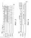 Fig. 04 - Digital clock frequency doubler