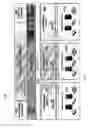 Fig. 18 - Apparatus for and method of using an intelligent network and RFID signal router