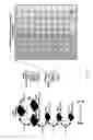 Fig. 12 - Apparatus for and method of using an intelligent network and RFID signal router
