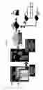 Fig. 24 - Apparatus for and method of using an intelligent network and RFID signal router