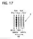 Fig. 16 - Display device