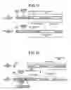 Fig. 13 - Encoder and decoder
