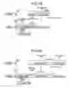 Fig. 14 - Encoder and decoder