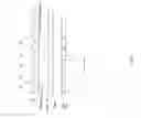 Fig. 08 - High density row RAM for column parallel CMOS image sensors