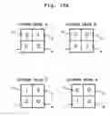 Fig. 17 - Apparatus and method for driving self-luminescent display panel