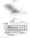 Fig. 14 - Indicated position recognizing apparatus and information input apparatus having same