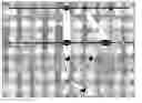 Fig. 01 - Techniques for accurately determining visibility of objects from multiple viewpoints in a three-dimensional (3D) environment