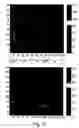 Fig. 12 - Reactive animation